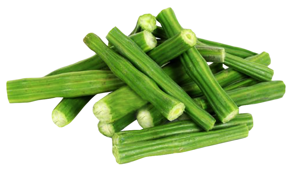 Fresh green drumsticks