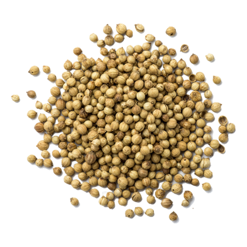 Coriander seeds